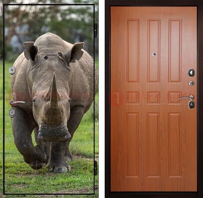 Металлическая дверь с фотопечатью носорога ДФ-31 в Оренбурге